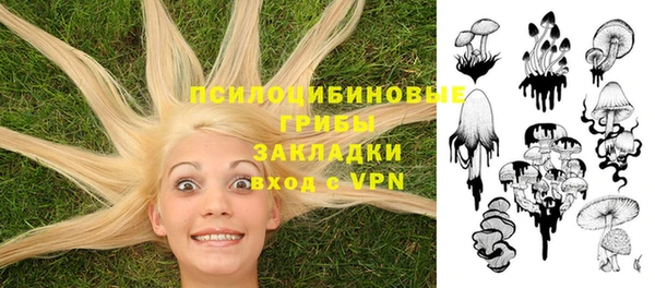 сатива Сатка