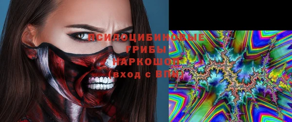 шишки Аркадак