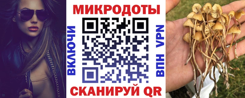 купить наркотик  Красноуфимск  Галлюциногенные грибы GOLDEN TEACHER 